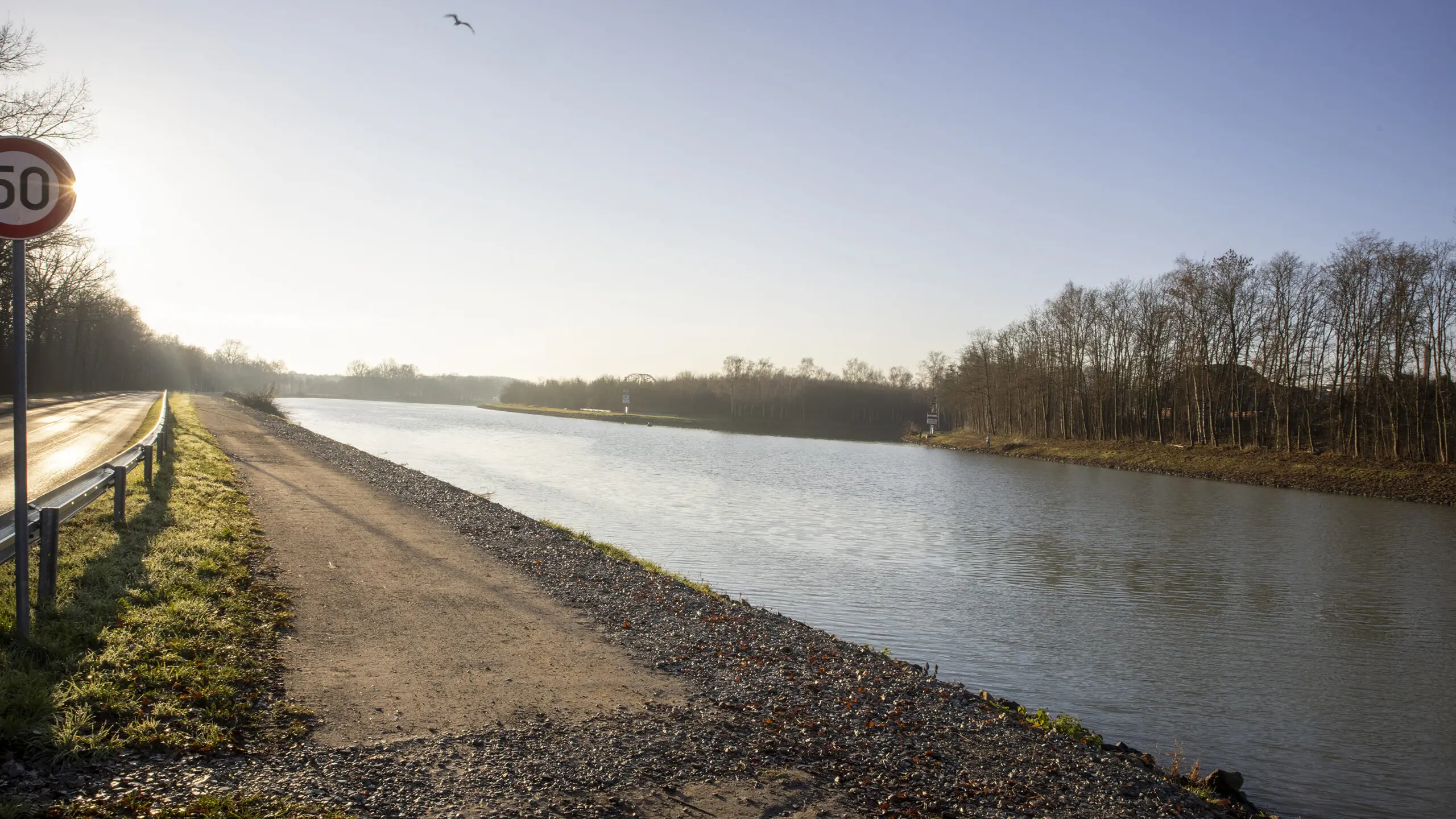 Mit gemischten Gefühlen sieht die Volt Ratsgruppe auf die Rodungen am Dortmund-Ems-Kanal