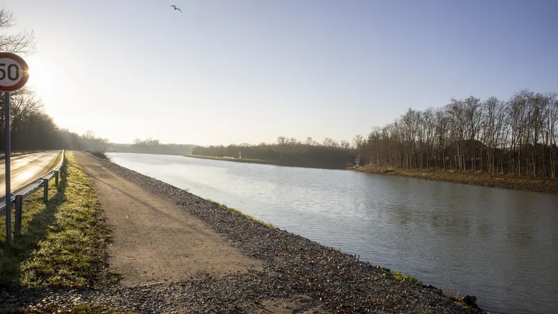Mit gemischten Gefühlen sieht die Volt Ratsgruppe auf die Rodungen am Dortmund-Ems-Kanal