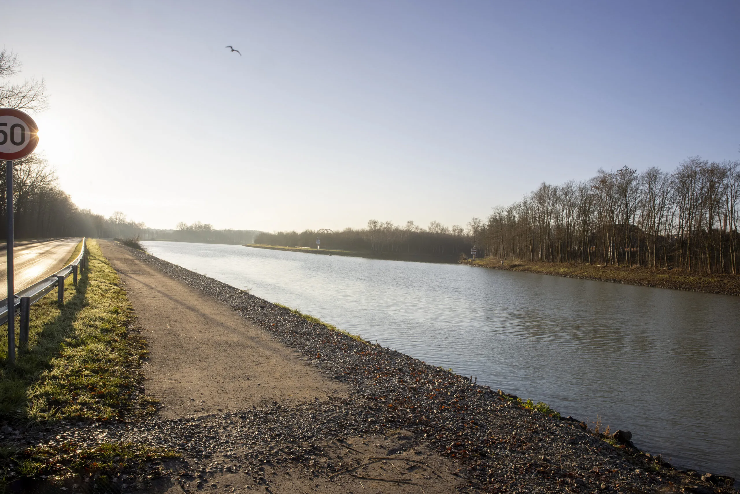 Mit gemischten Gefühlen sieht die Volt Ratsgruppe auf die Rodungen am Dortmund-Ems-Kanal