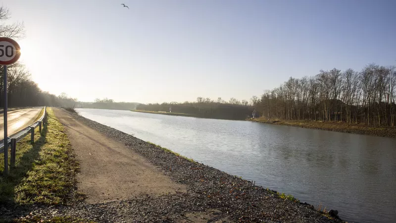 Mit gemischten Gefühlen sieht die Volt Ratsgruppe auf die Rodungen am Dortmund-Ems-Kanal