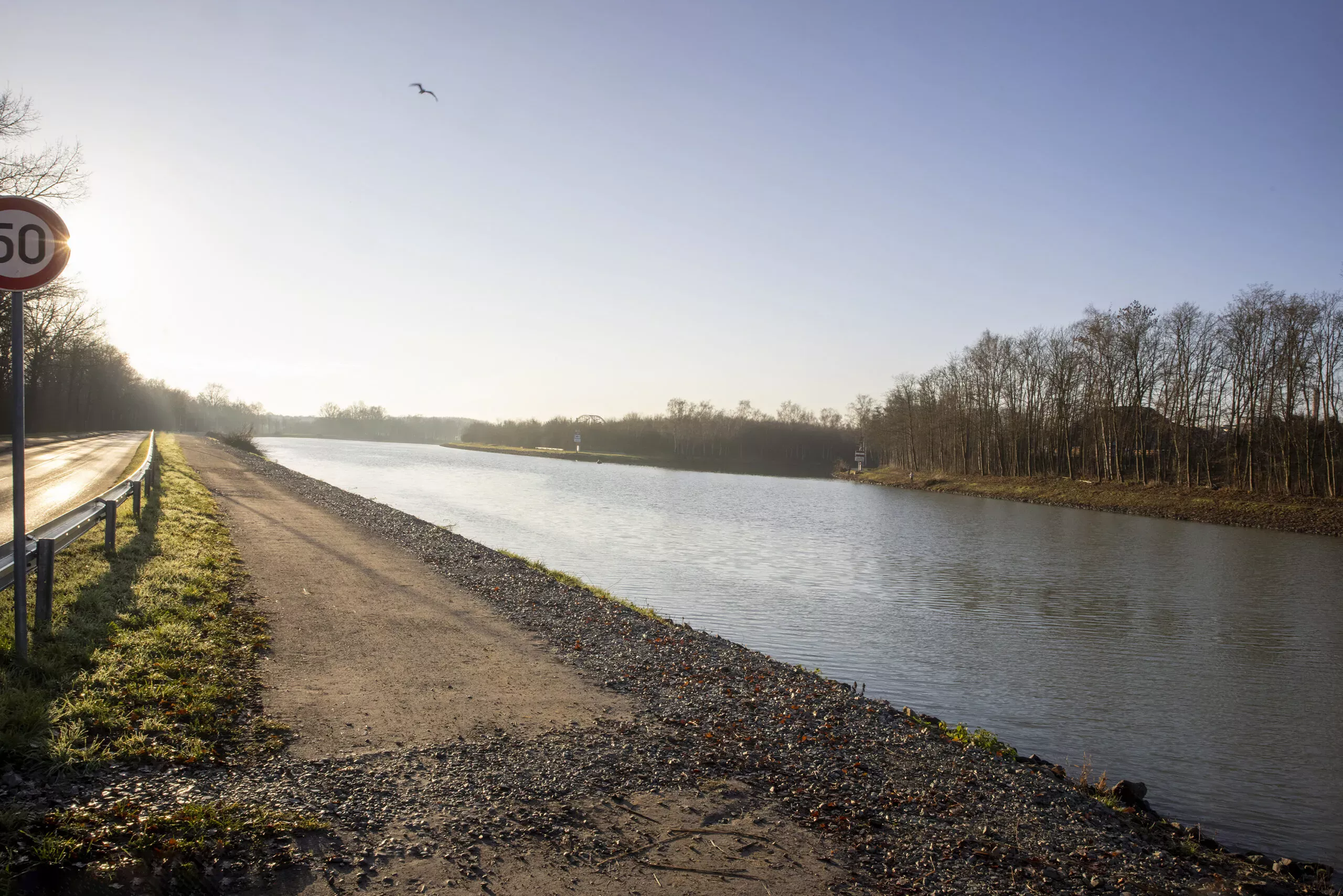 Mit gemischten Gefühlen sieht die Volt Ratsgruppe auf die Rodungen am Dortmund-Ems-Kanal